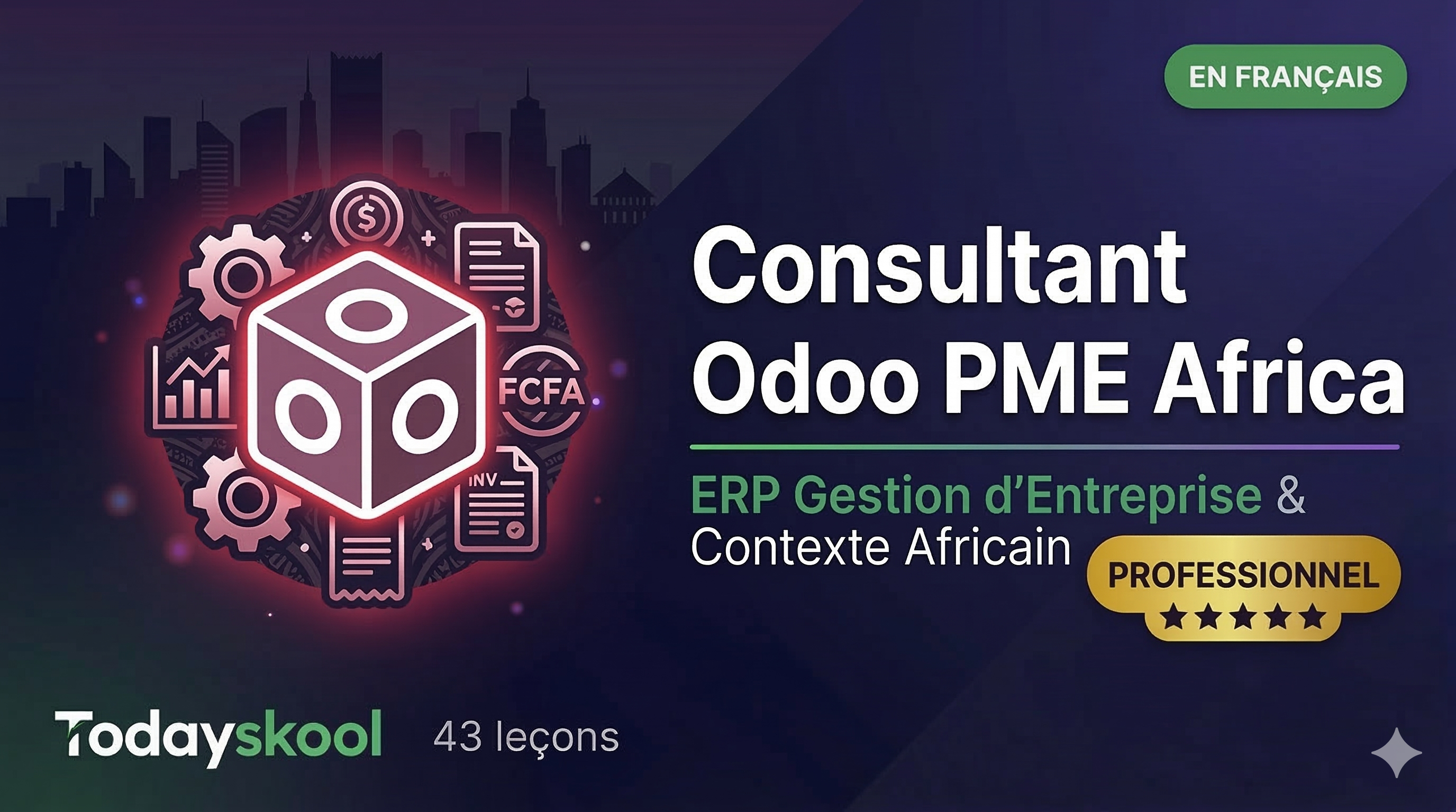 Consultant Odoo PME Africa : Zero to Hero ODOO_PME_2024